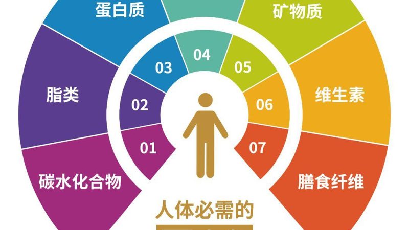 小标题：维生素D的重要性